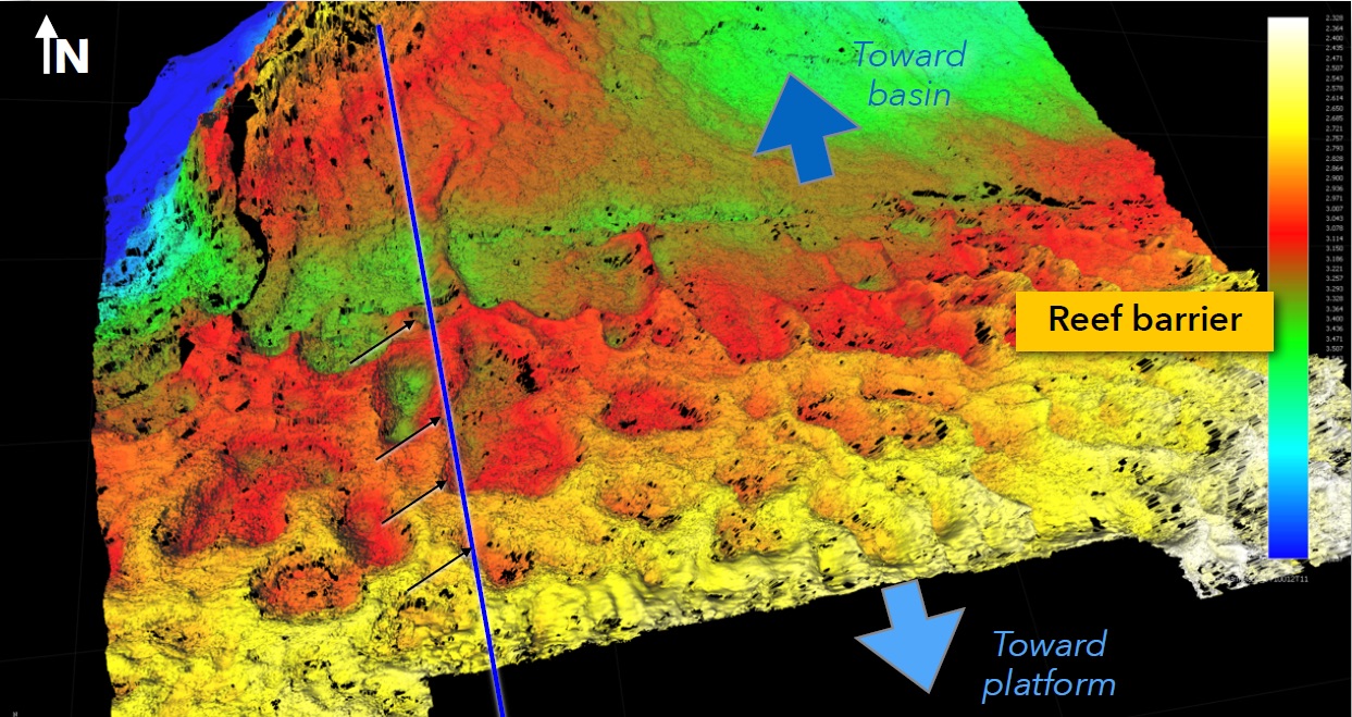 3D view of an horizon time structure showing polygonal lagoons