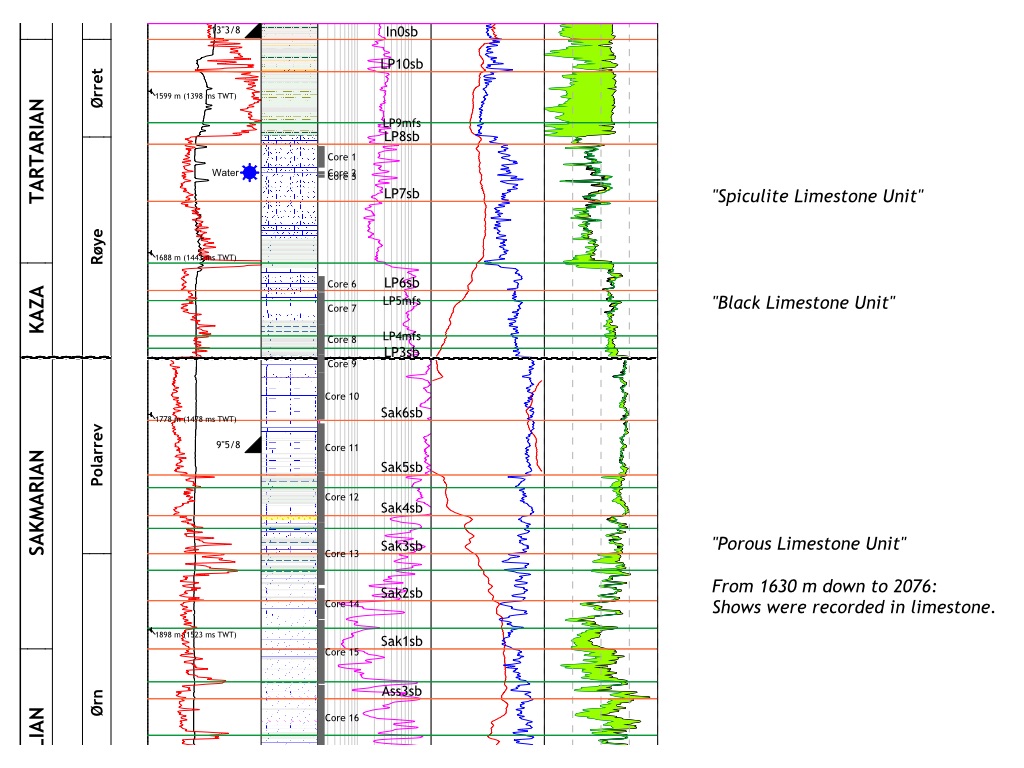 Extract of a stratigraphic log of the Paleozoic interval