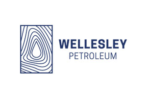 Logo Wp